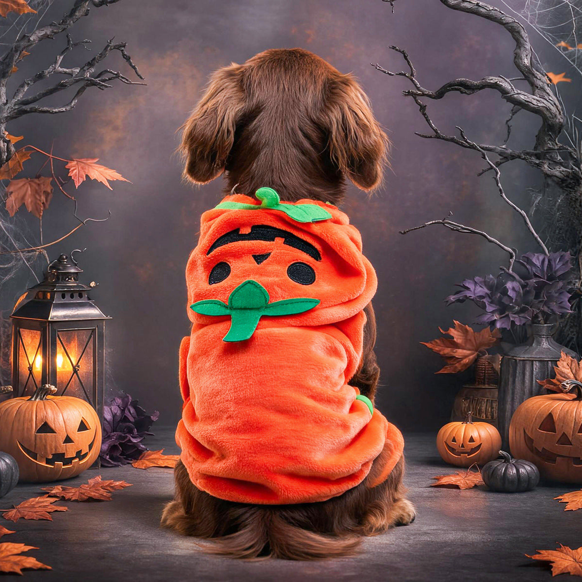 Halloween Pet Bath Towel Dog Cat Pumpkin Costume Robe Pet Supplies for Small Dogs